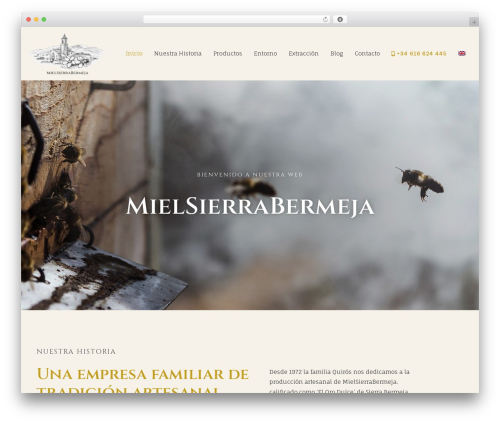 Astra WordPress theme - mielsierrabermeja.com