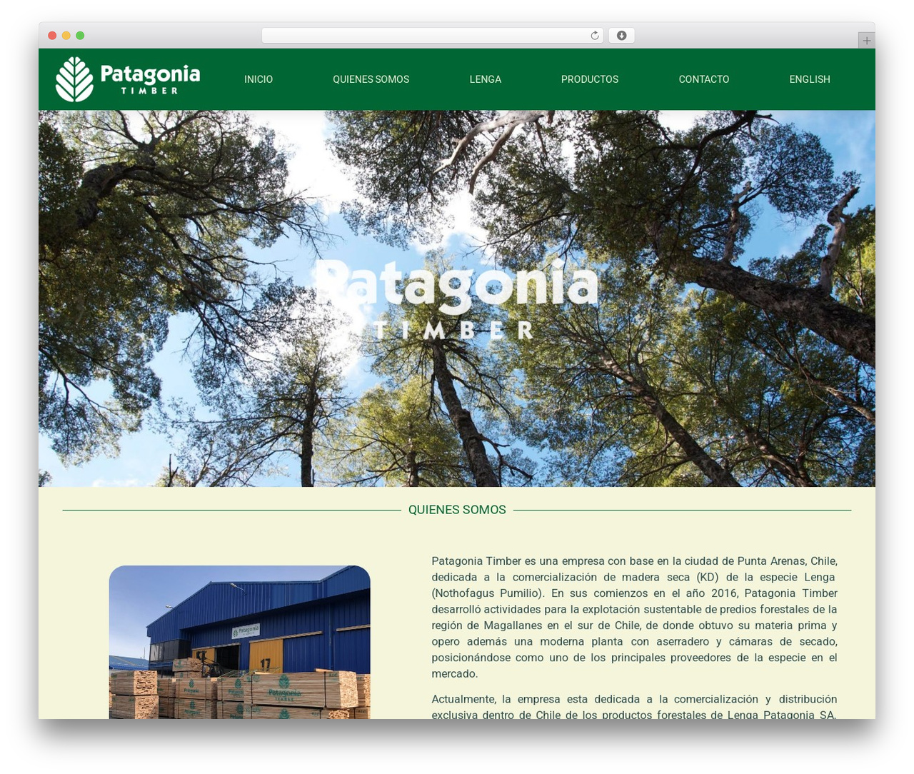 Theme WordPress Hello Elementor - patagoniatimber.com