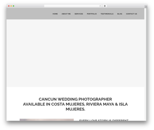 Intelligence (intelligence) free WordPress plugin - arakakiphotography.com