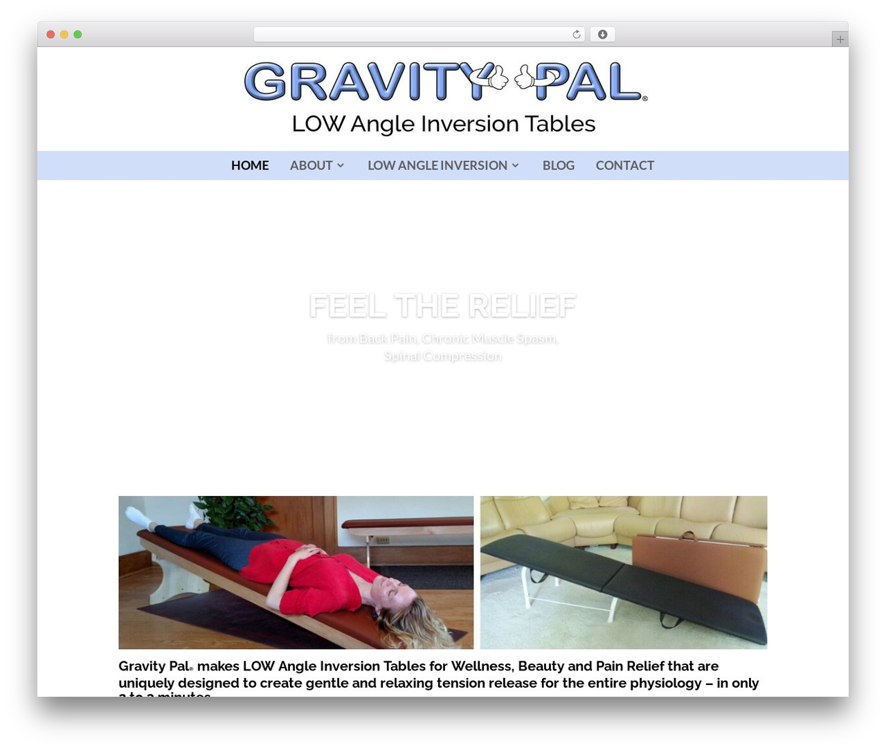 Divi WordPress theme - gravitypal.com