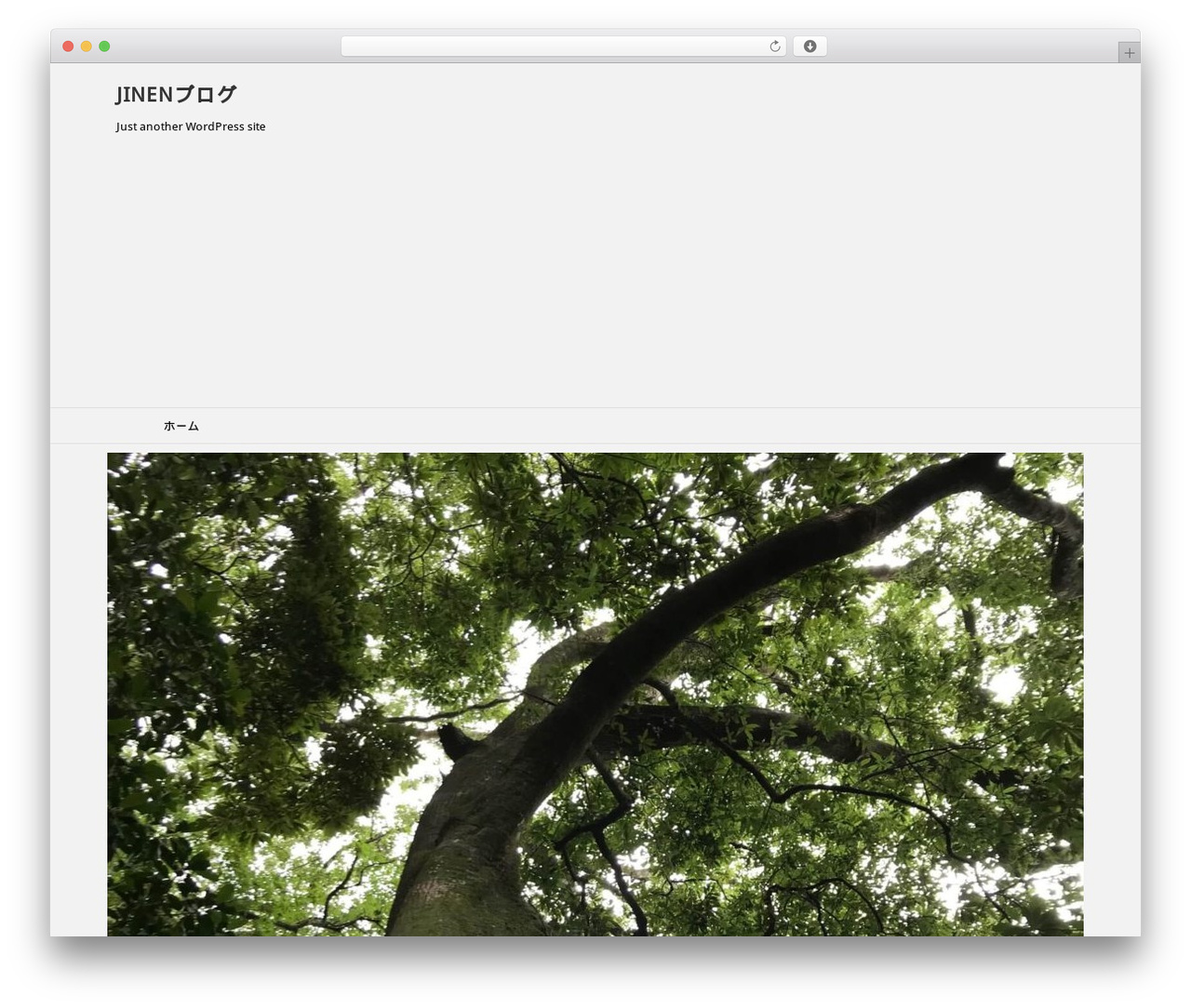 STINGER8 WordPress theme - jinenblog.com STINGER8 WordPress theme - jinenblog.com