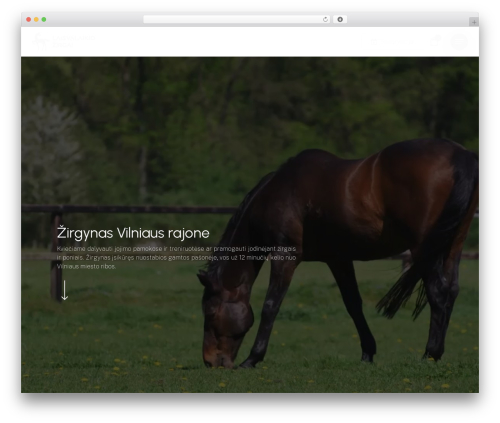 Booknetic custom duration WordPress plugin - laisvalaikiozirgai.lt