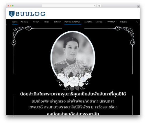 WordPress theme Arsim - buulog.com