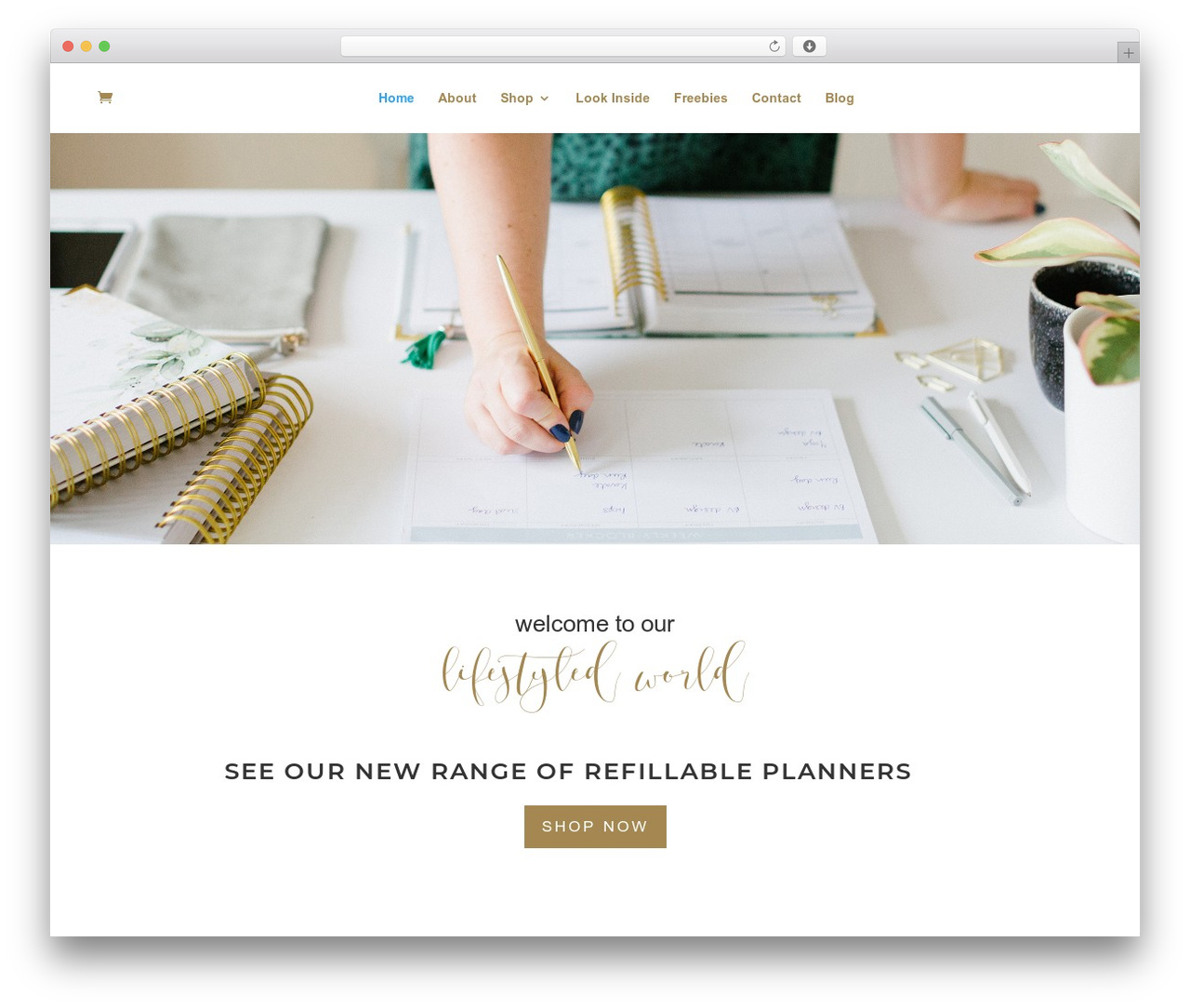WordPress theme Divi - lifestyledplanner.com