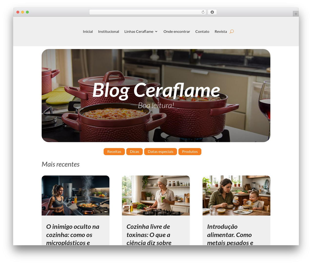 WordPress theme Divi - blog.ceraflame.com.br