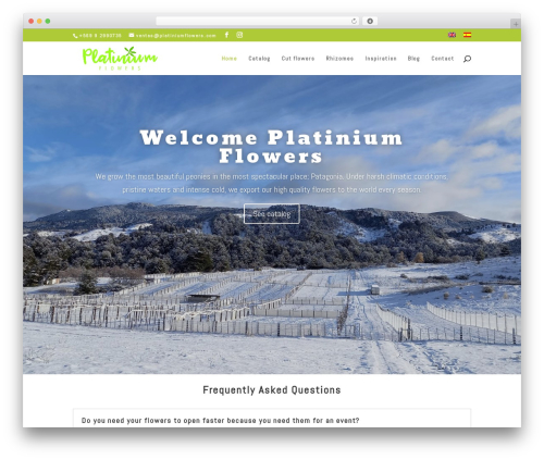 Quick View WooCommerce (quick-view-woocommerce) free WordPress plugin - platiniumflowers.com Quick View WooCommerce (quick-view-woocommerce) free WordPress plugin - platiniumflowers.com