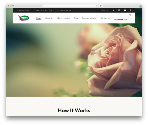 Theme WordPress Savior - ubinti.com