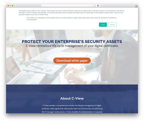 WordPress theme Buzz - secure-ly.com