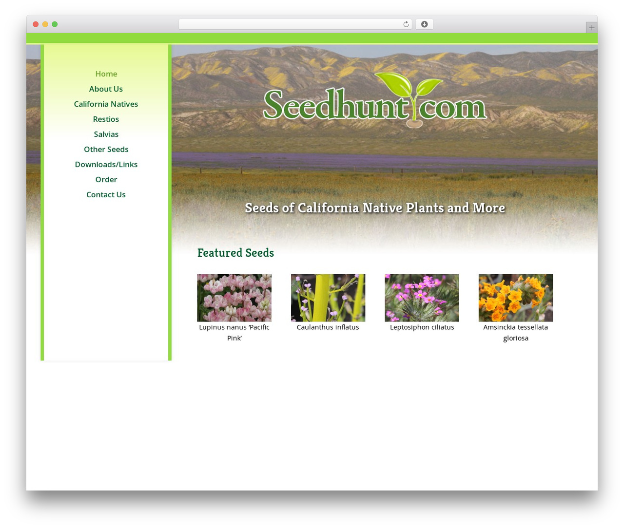 WordPress theme Divi - seedhunt.com WordPress theme Divi - seedhunt.com