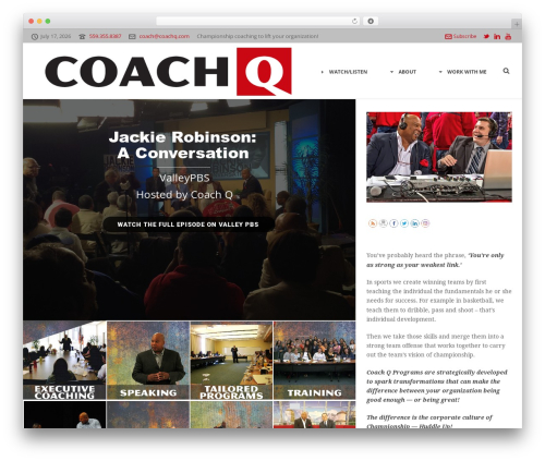 Wordpress social stream WordPress plugin - coachq.com