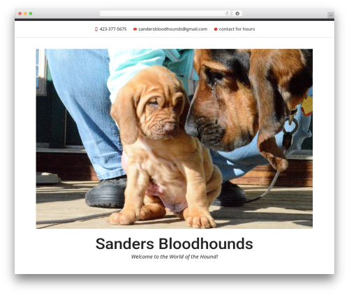 WordPress theme Radcliffe 2 - sandersbloodhounds.com