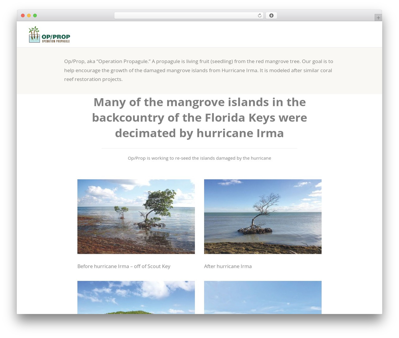Best WordPress theme Create - adoptaprop.org