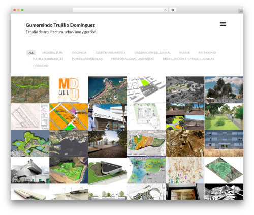 Themetrust social WordPress plugin - gumersindotrujillo.com