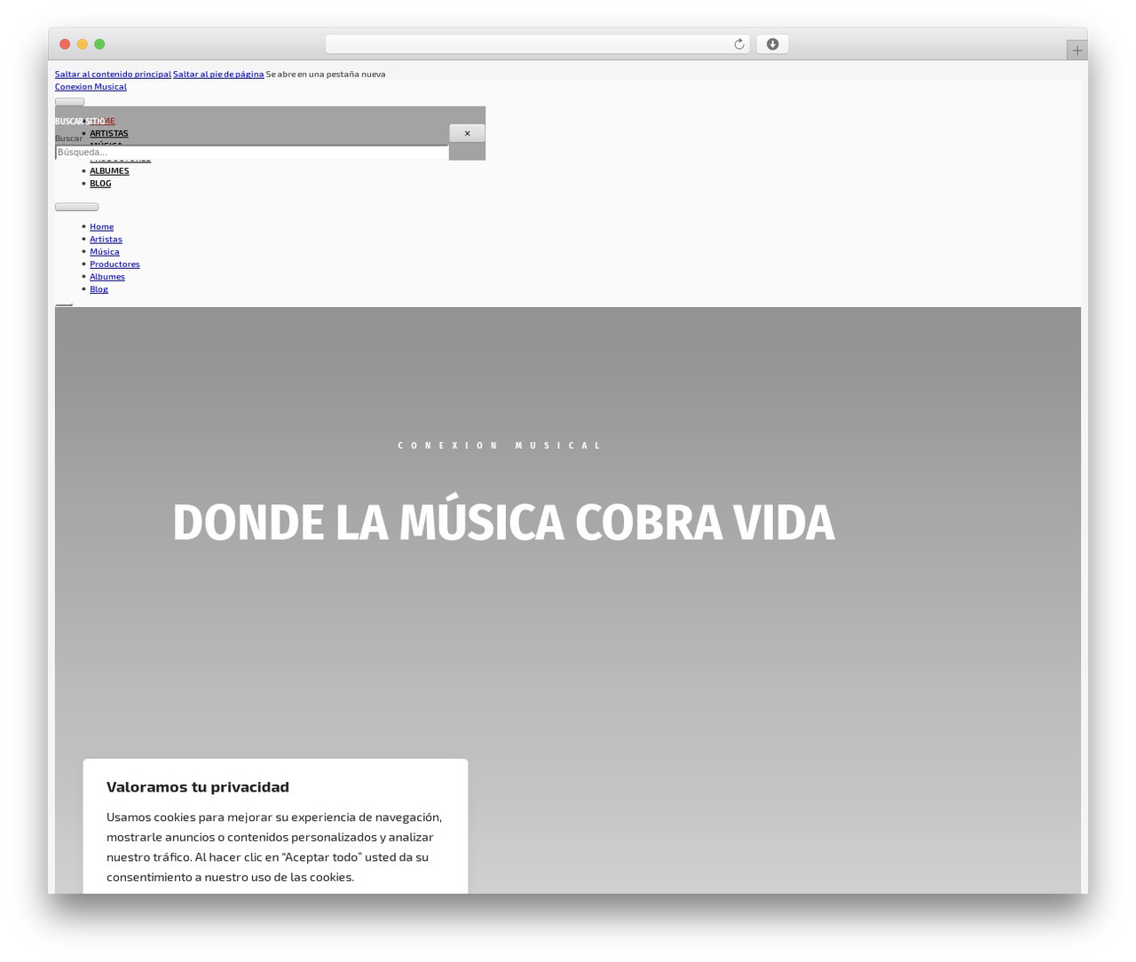 WordPress theme Bricks - conexionmusical.net