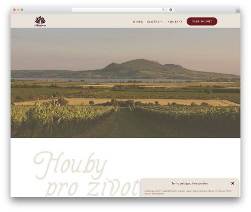 Best WordPress theme Divi - mykofarma.cz