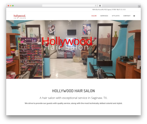 Modern team showcase WordPress plugin - hollywood-hairsalon.com