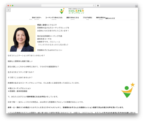 Vk video block pro WordPress plugin - shishunki.com