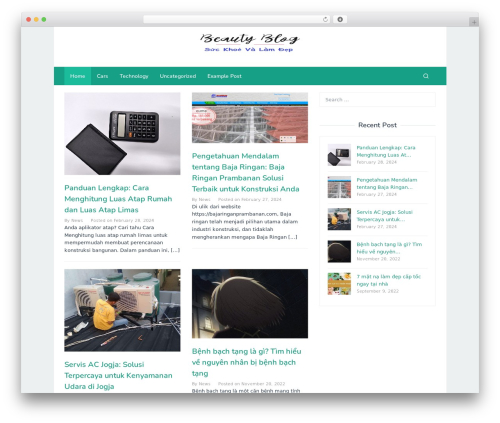 Superfast WordPress theme - khoedep.me