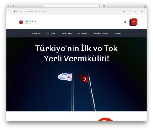 Masterlayer addons for elementor WordPress plugin - organikmadencilik.com
