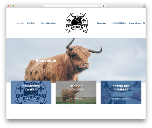 Cool timeline pro WordPress plugin - highlandquebec.com