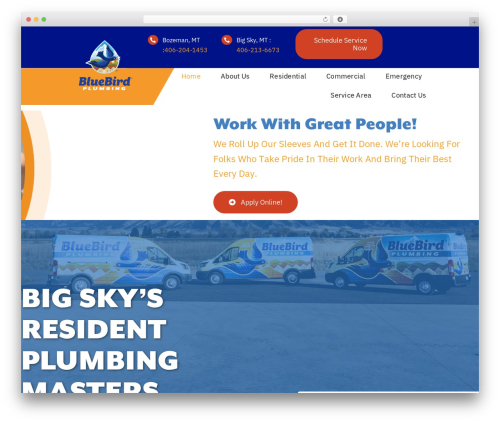 Go high level extension for gravity form WordPress plugin - mybluebirdservices.com