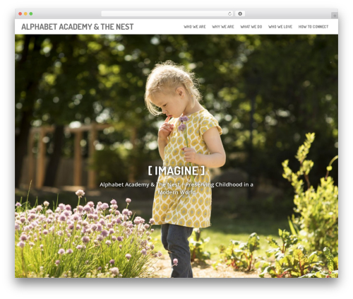 WordPress theme Jay - alphabetacademyct.com