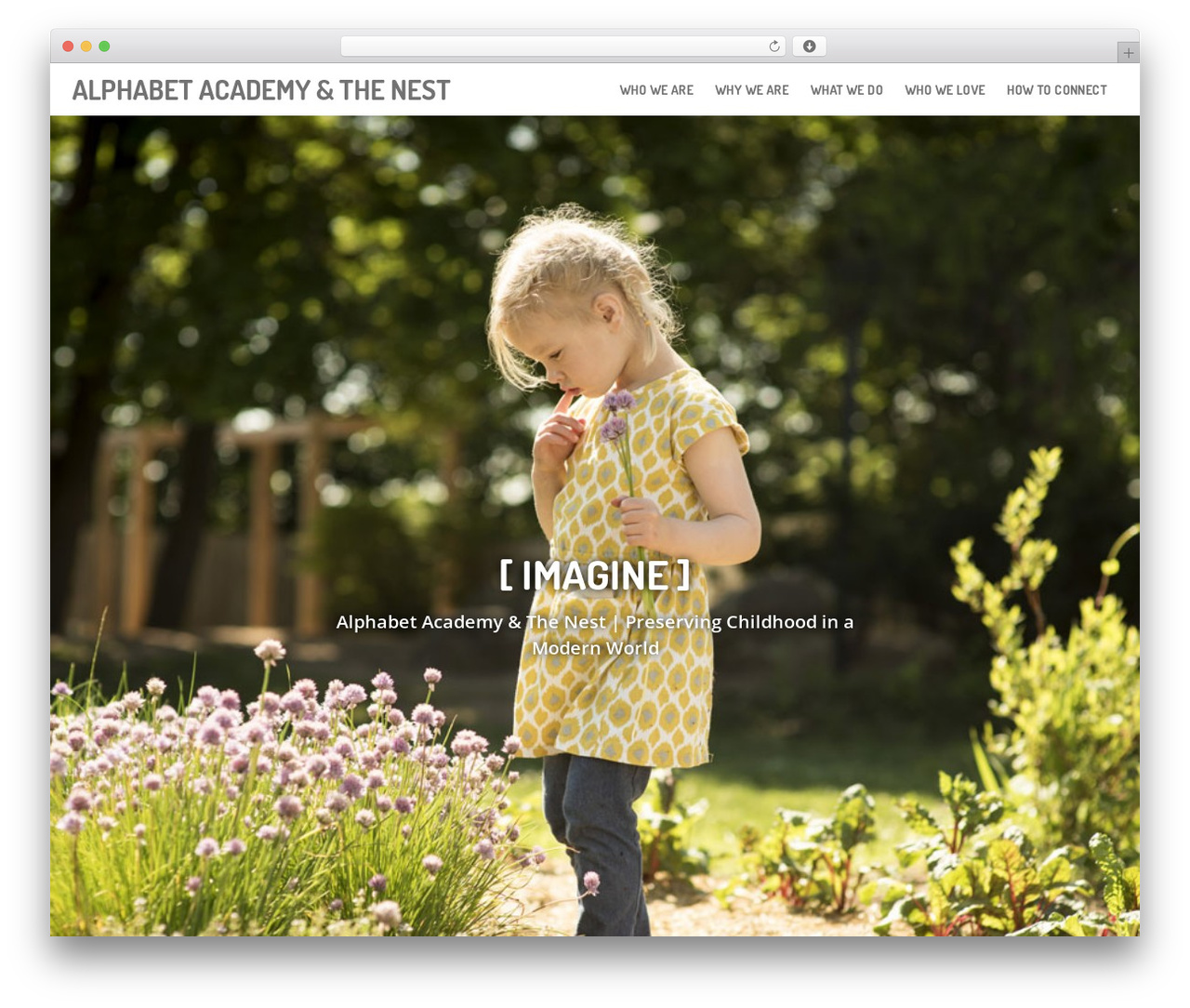 WordPress theme Jay - alphabetacademyct.com