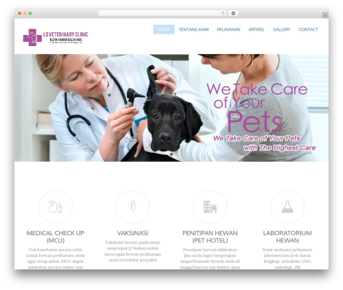 Zero WordPress theme - klinikhewangaluhmas.com