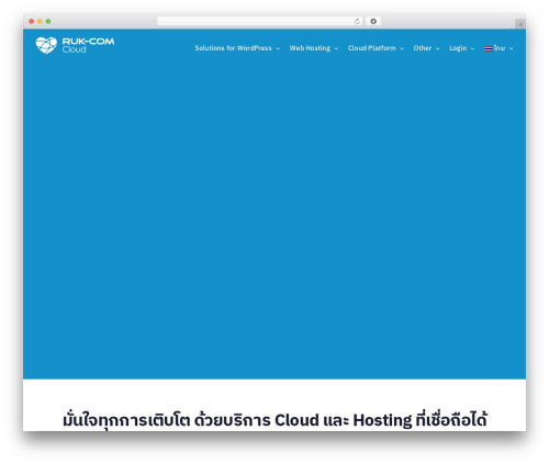 Designil pdpa WordPress plugin - ruk-com.cloud