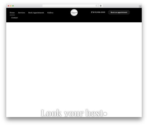 Hello Elementor theme WordPress - hendersonvillenailsspa.com