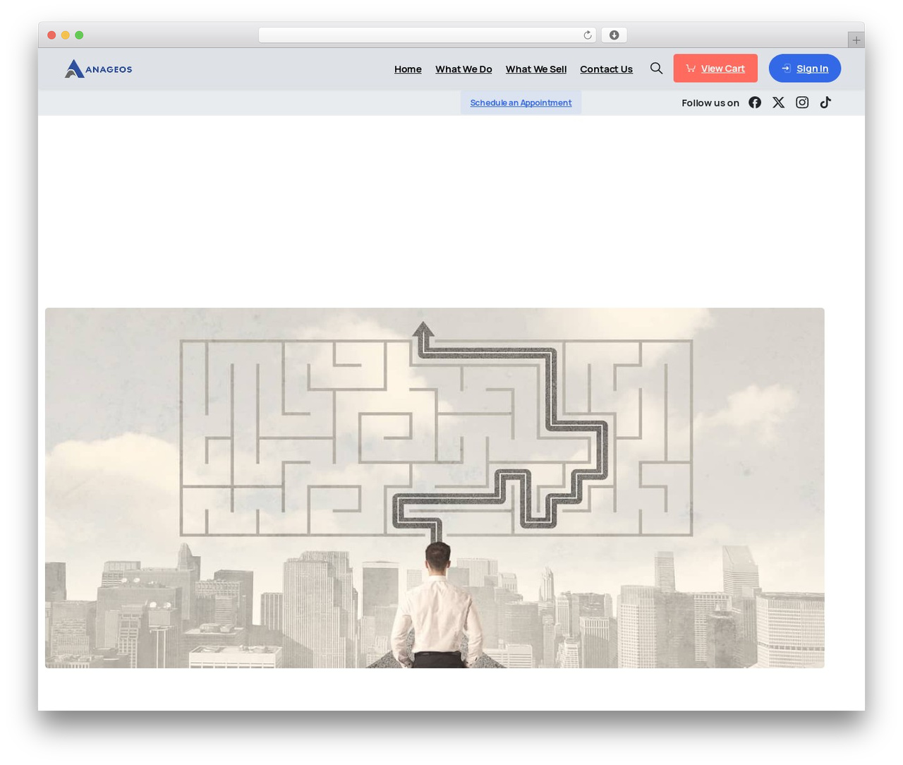 Essentials WordPress theme - anageos.com Essentials WordPress theme - anageos.com