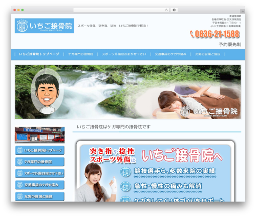FSVBASIC WordPress website theme - ichigo1588.com