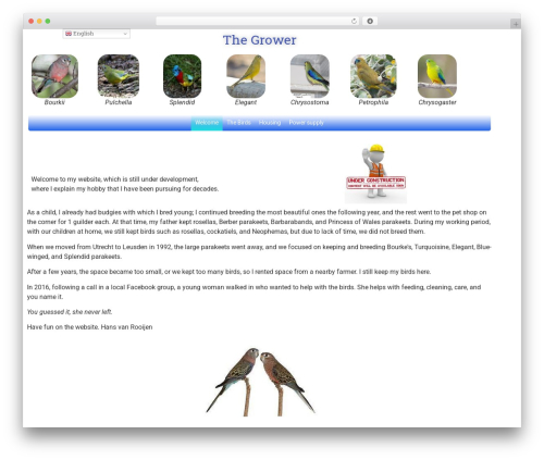 Hello Elementor theme free download - de-kweker.eu
