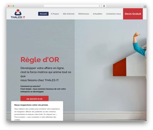 Sitepress multilingual cms master WordPress plugin - thalesit.ch