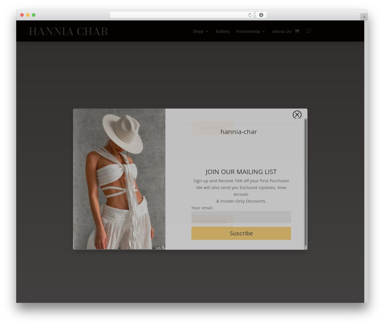 WordPress theme Divi - hanniachar.com WordPress theme Divi - hanniachar.com