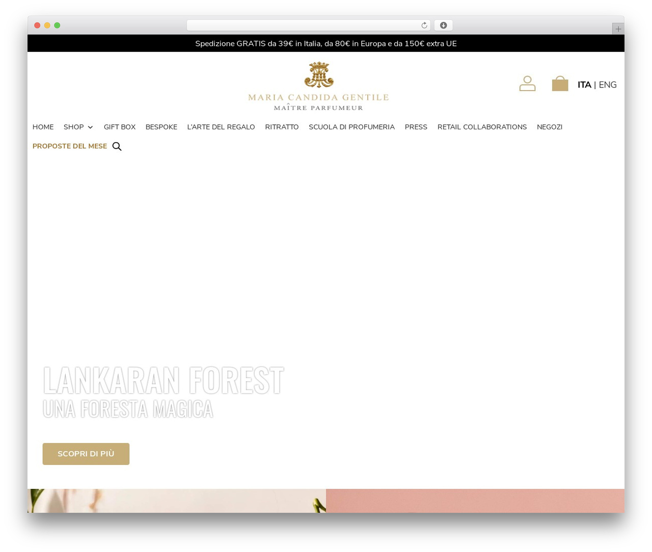 Hello Elementor free WordPress theme - www.mariacandidagentile.com