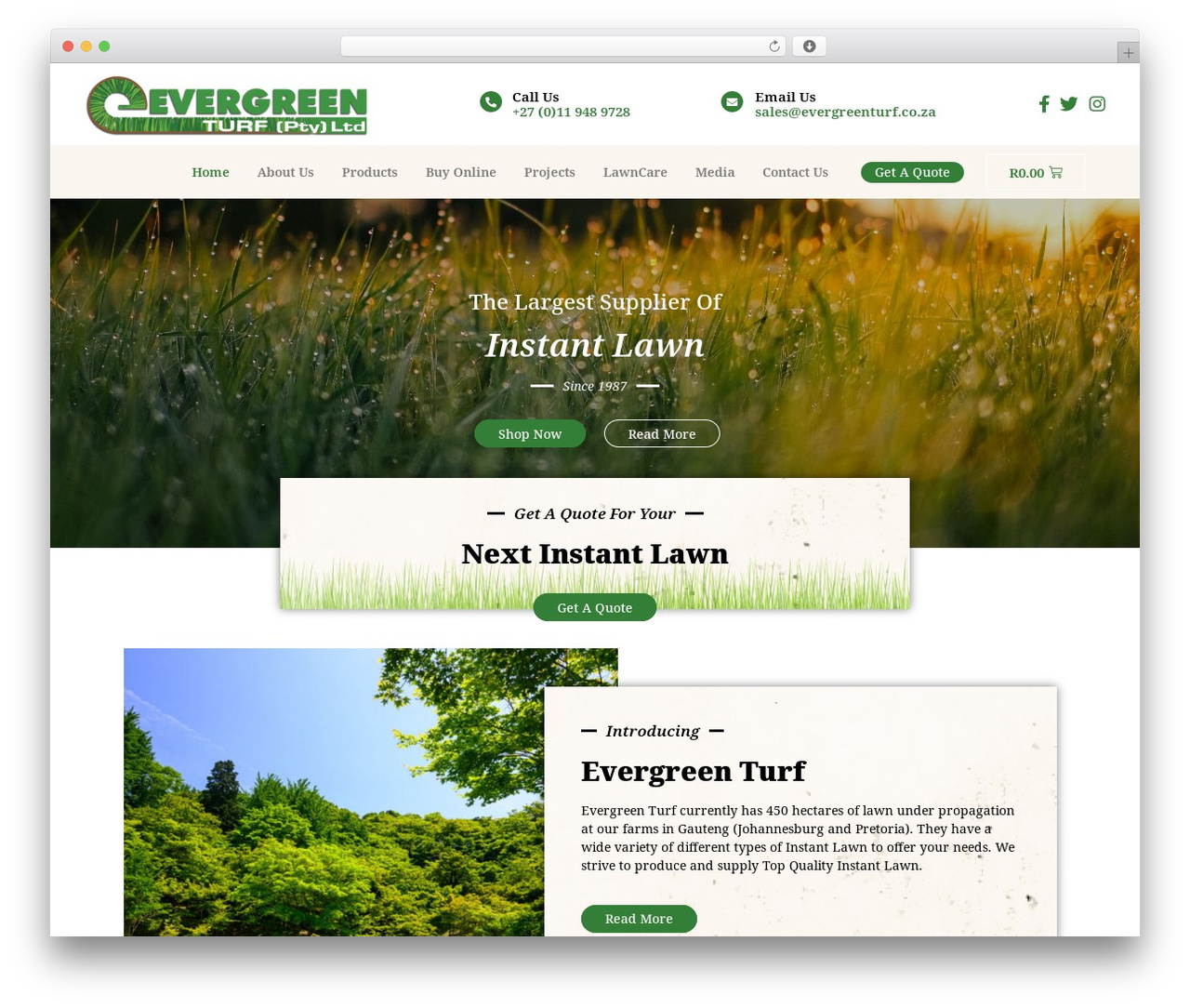 Hello Elementor theme WordPress - evergreenturf.co.za Hello Elementor theme WordPress - evergreenturf.co.za