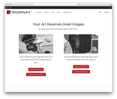 Wp hummingbird WordPress plugin - shootmyart.com
