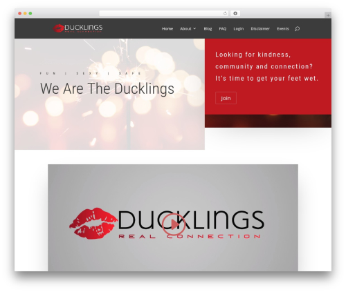 Divi WordPress theme - wearetheducklings.com