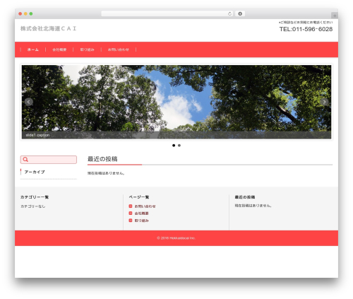 FSV002WP BASIC CORPORATE 04 (PINK) WordPress theme - hokkaido-cai.com