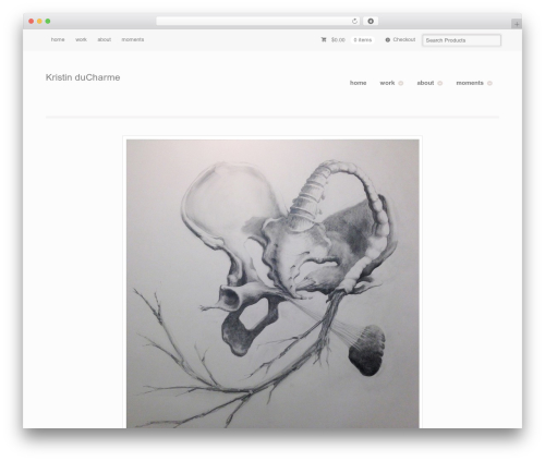 Easy media gallery pro WordPress plugin - kristinducharme.com