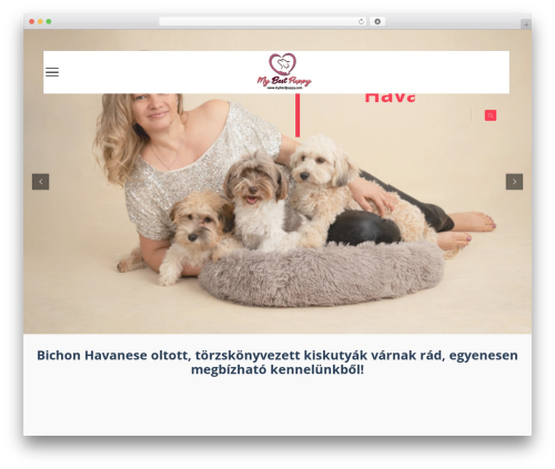 Themetechmount presentup extras WordPress plugin - mybestpuppy.com