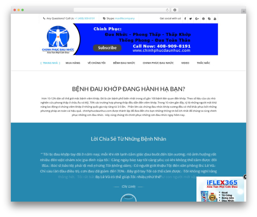 Buddhathemes core features WordPress plugin - chinhphucdaunhuc.com