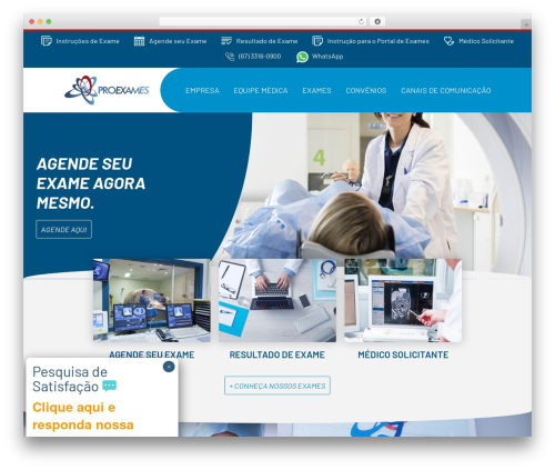 Proexames WordPress theme - proexames.com