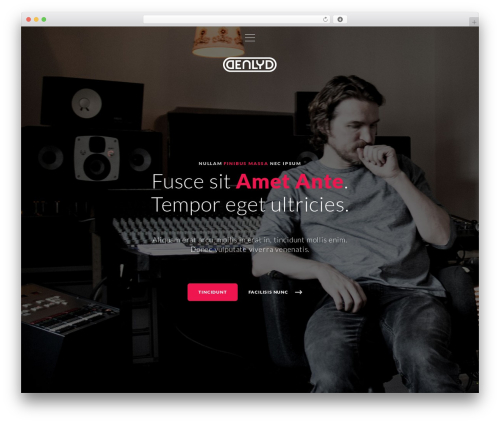 WordPress theme exs - denlyd.com
