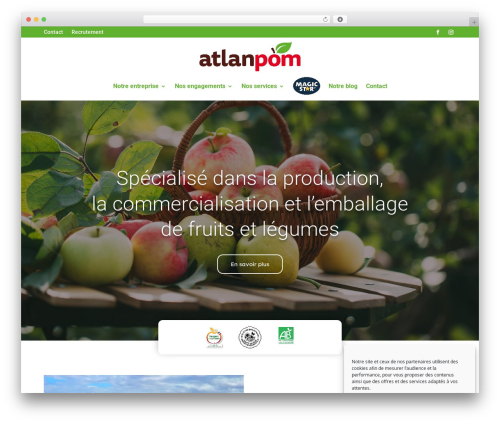 Divi theme WordPress - atlanpom.com