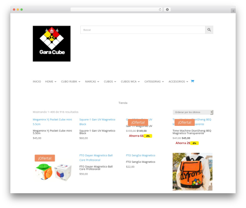 Visa acceptance solutions WordPress plugin - garacube.com