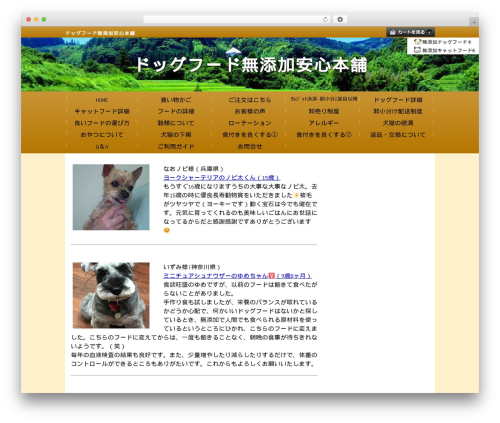 Twenty Nineteen WordPress theme - spf21.com
