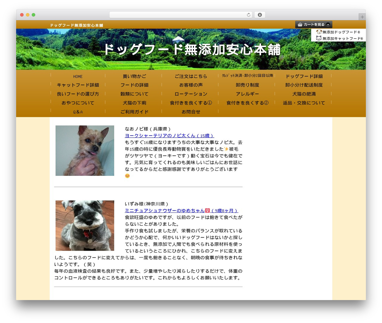 Twenty Nineteen WordPress theme - spf21.com