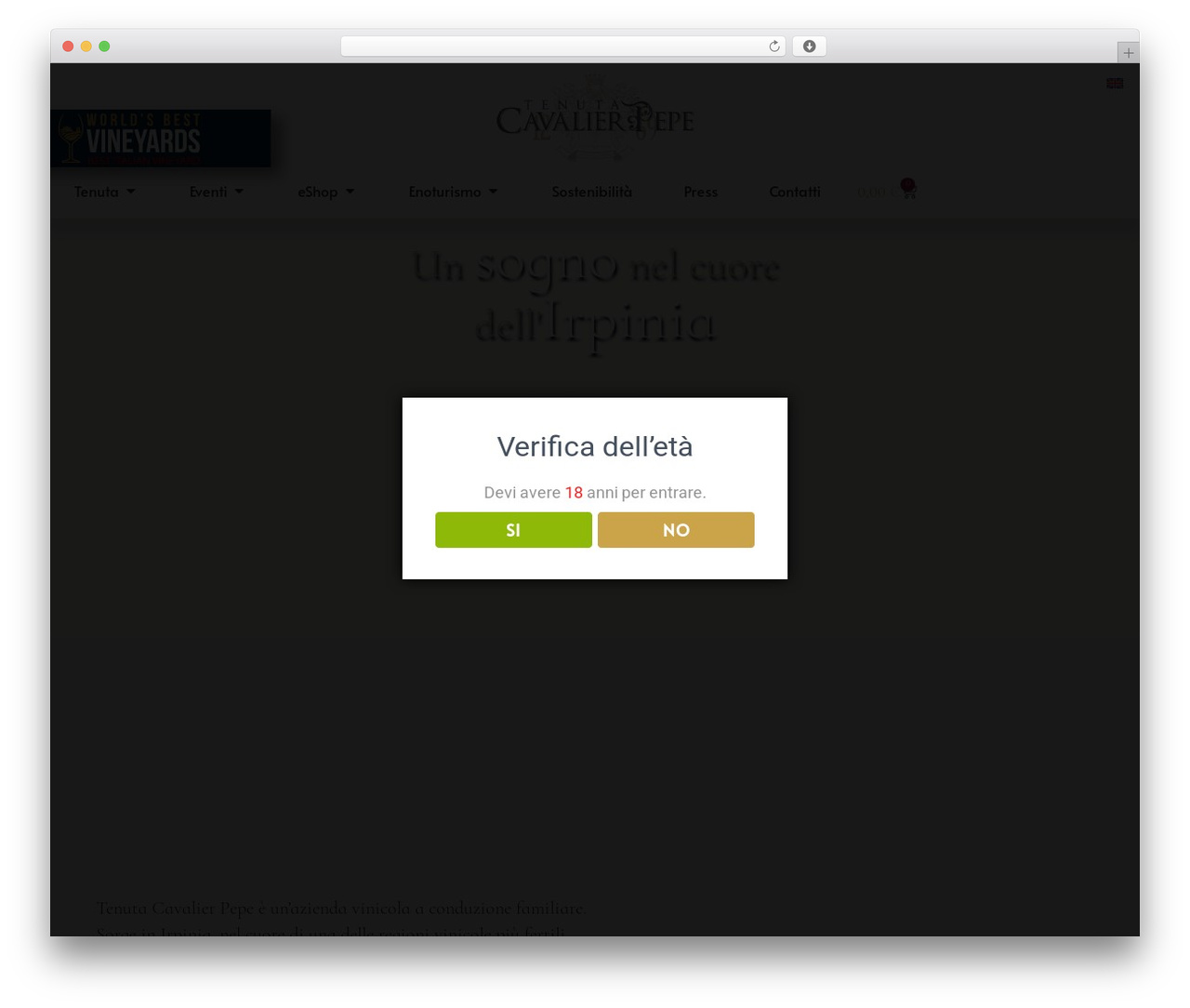 WordPress theme Hello Elementor Child - tenutapepe.it WordPress theme Hello Elementor Child - tenutapepe.it